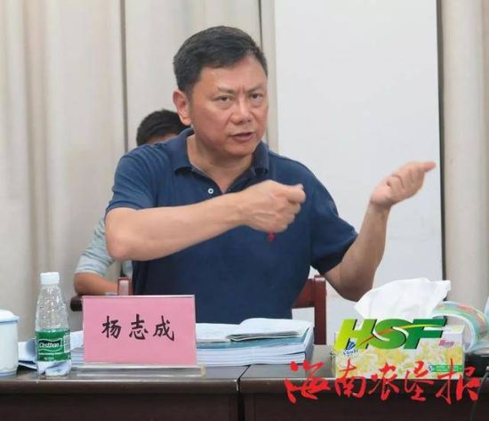 杨志成讲话.