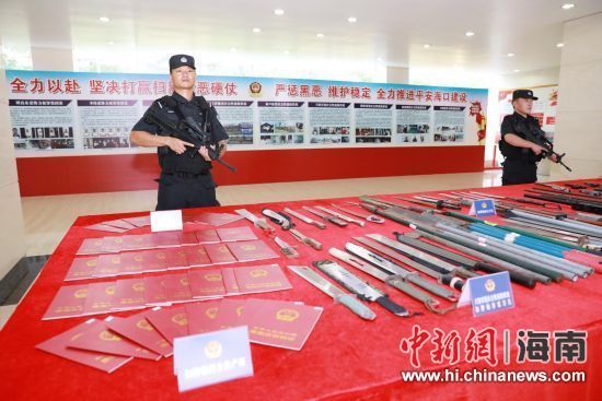海口市公安局供图