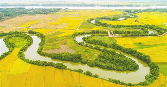 位于海口市云龙镇的南渡江"最美支流—三十六曲溪湿地.