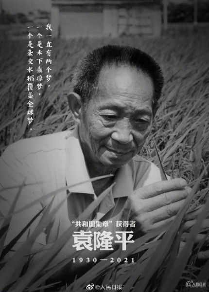 "杂交水稻之父"袁隆平逝世