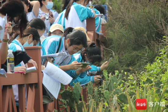 海中学生走进大自然,观察植物.学校供图
