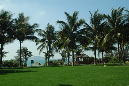 �羰�����ĺ������Ǿ�ɫ������