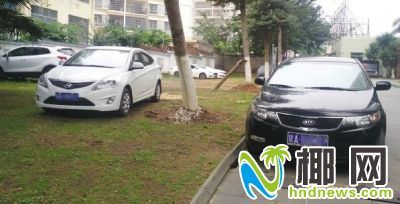 调查: 伤不起 海口小区停车费一年涨了五成(图