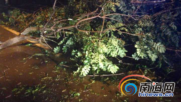 台风银河登陆 海南万宁市区多处树木被吹倒