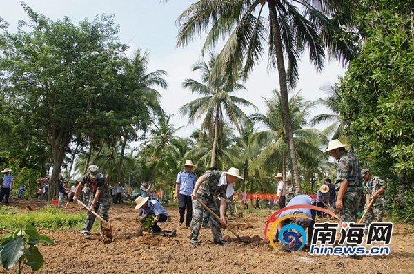 陵水义务种植1500株菠萝蜜树苗 促进农民增收