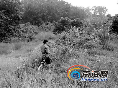 俏村妇醉卧路边 不幸遭过路小偷奸杀抛尸荒野
