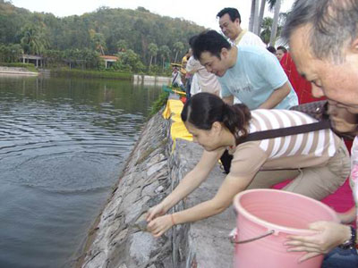 戒杀放生有什么好处?_诸葛长青