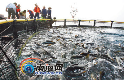 海南省海洋经济总量_海南省地图