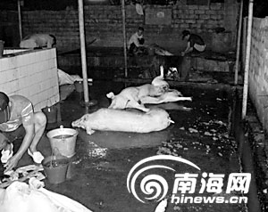 田独镇人口_三亚成立绿化美化工作组 美化环境扮靓三亚(3)