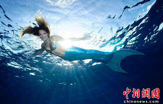 与鲨鱼同游的"美人鱼"