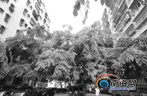 琼崖高级农民军事政治训练所:培养农民运动良