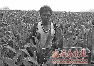 异地复读的考生可不可以报国家专项计划?-复读