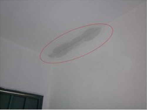 网友发帖屋顶漏水