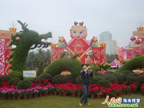 由植物组成龙的造型