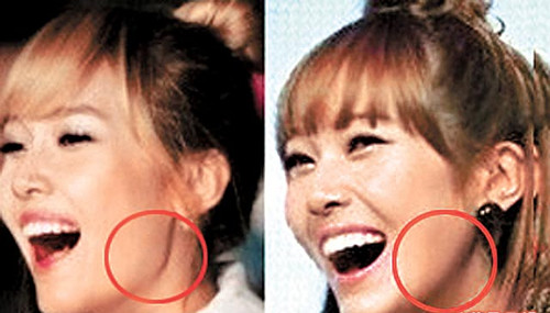 腮骨图片_纵览新闻