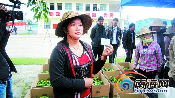 海南启动瓜菜质量追溯监管 有问题可追到农户