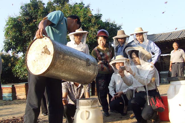 儋州南丰镇山源养蜂专业合作社