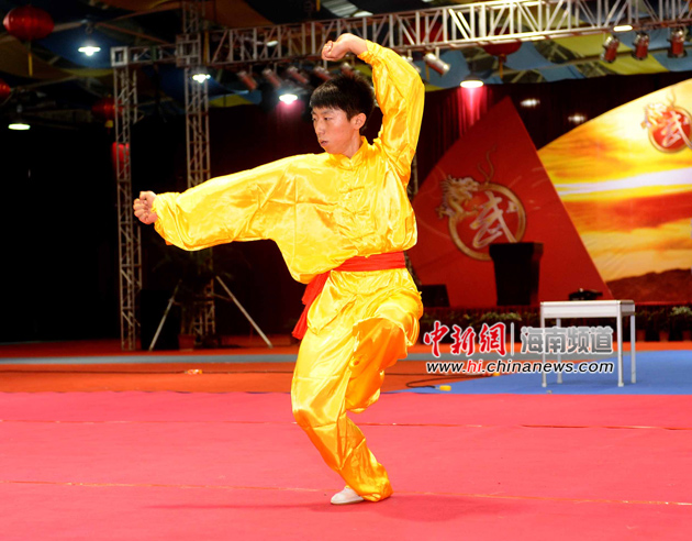 中国(海口)国际武术交流大会开幕武林高手比武