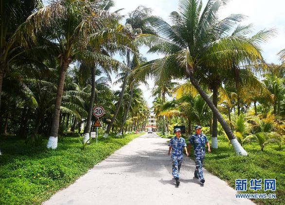 三沙市人民政府驻地永兴岛上绿树成荫,绿化面积达85%(5月21日摄).
