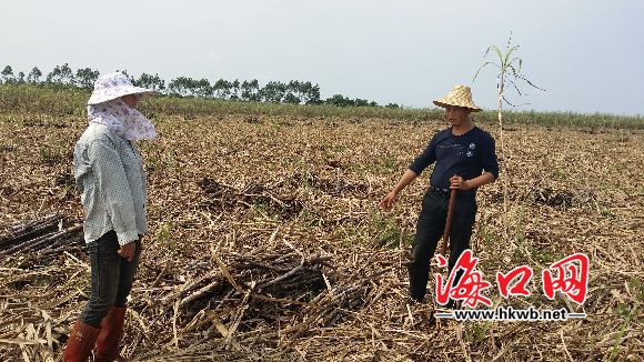 波莲镇人口_人口普查图片