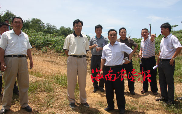 中新网海南频道致力成为全球华文公共舆论平台,全面真实独立反映舆论, 赋予网友平等的知情权和发言权。 1、凡本网独家的所有文字、图片、美术设计和程 序等作品,版权均属中新网海南频道所有,转载须注明来源"中新网海南频道",违者本网将依法追究责任。 2、本网未明确注明来源为"中新网海南频道"的信息,为本网转载稿,不代表本网立场,本网对其观点和真实性不承担责任,转载刊用务经书面授权获准,并承担相应的法律责任。 3、如本网信息涉及版权等问题,请在发布或转载后的两周内与本网联系