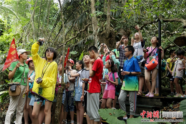 甘肃小学生毕业去旅行 探秘呀诺达热带雨林