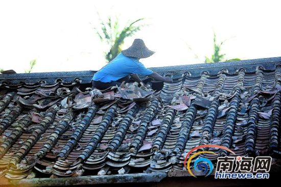 7月27日下午,在文昌市翁田镇新福村,村民们在