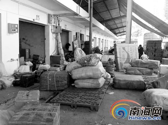 黑水路批发市场开门了吗中国黑水虻行业现状