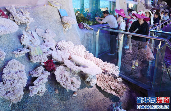 五帝时期崇拜上天的观念到殷商时期被什么取代