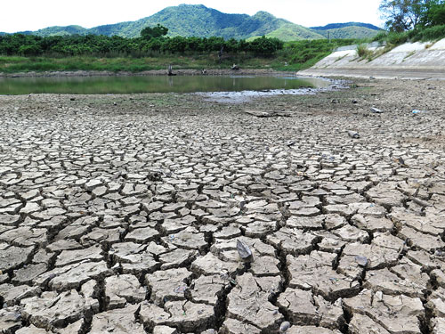 台风鲸鱼游来 海垦喜迎甘霖缓解旱情(图)