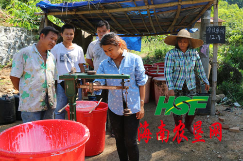 海南橡胶乌石分公司抓好民营胶收购工作(图)