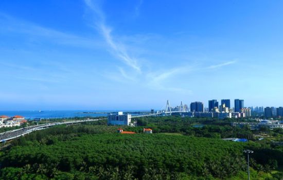 唐山一中国际部和衡水一中国际部哪个比较好。