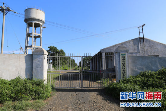 罚款不理强制无效 定安一养猪场污染环境太任