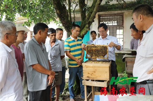 阳江农场举办贫困家庭劳动力转移引导养蜂培训