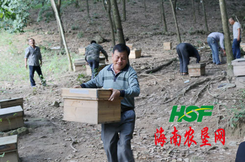 龙江举办养蜂技术培训班 100名学员参加培训(