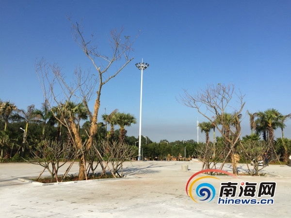 儋州白马井人口_纪实海南儋州白马井早鱼市(3)