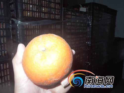 农残超标潮柑无检测报告便能入海南?
