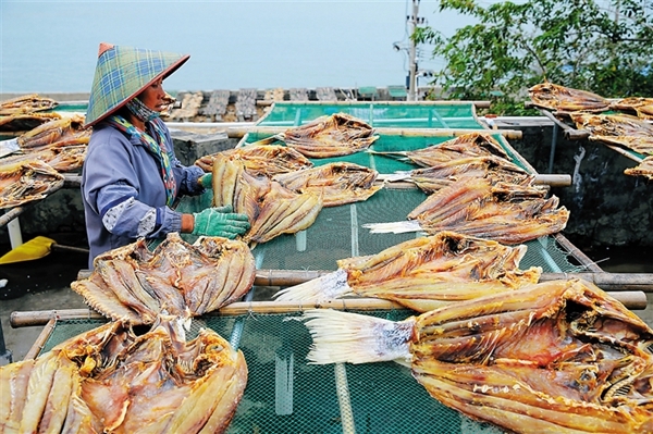儋州红鱼:寓意鸿运当头 年年有余