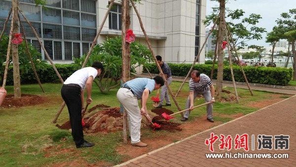 海南大学毕业生离校之际为母校捐树留念