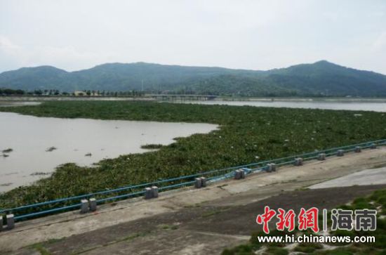 陵水县人口数_陵水县陈法波