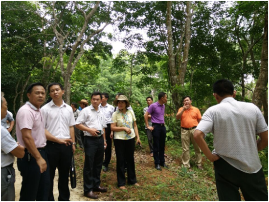 海南省农业厅副厅长周燕华一行到万宁北大镇调