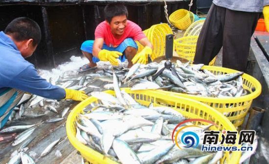 三亚崖州中心渔港开港迎来首船鱼货