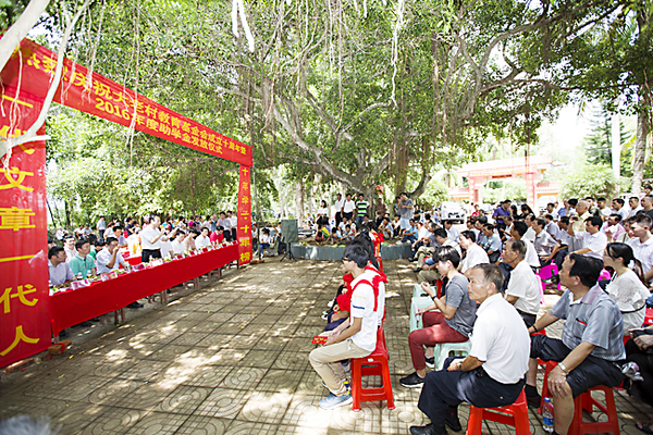 儋州大老村教育基金会成立十周资助224名学子