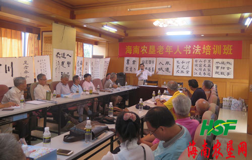 丰富老职工文化生活 海垦举办老年人书法班