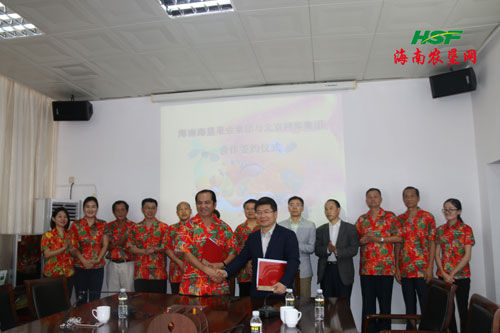 海垦果业与网库集团打造全国热带水果产业网平