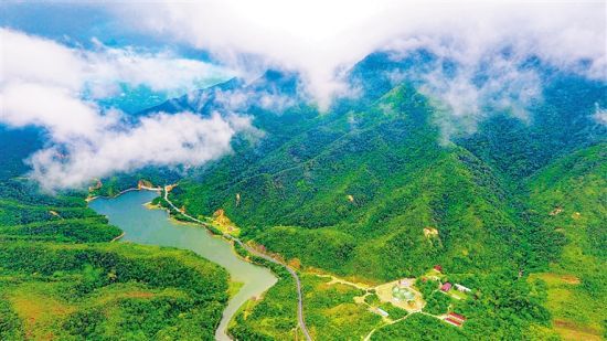 夏日,来琼中鹦哥岭“天然氧吧”吸氧