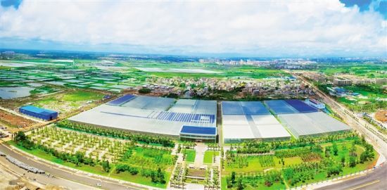 探秘桂林洋国家热带农业公园