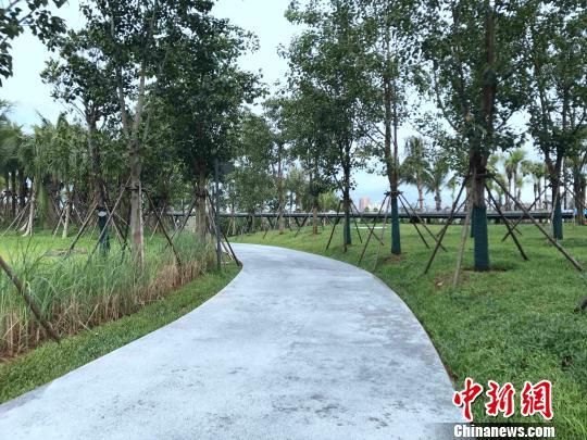 海口下绣花功夫治理内河之四:用海绵城市理念