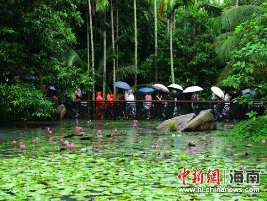 10月6日, 中外游客在雨天参观游览海南三亚亚