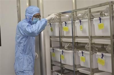 实验室几百元一只的裸鼠被野猫祸害? 真相是这